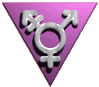 [TransGendeRing homepage]