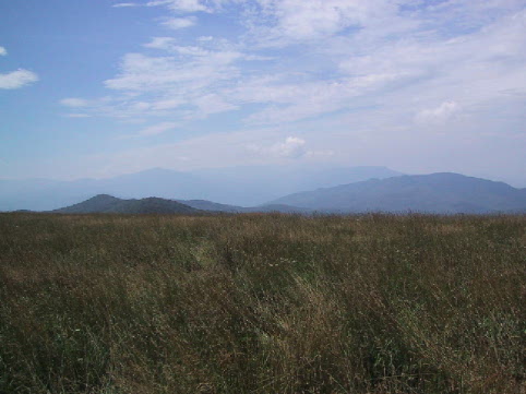 The view from the top of Max Patch